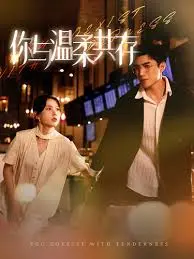你与温柔共存 海报