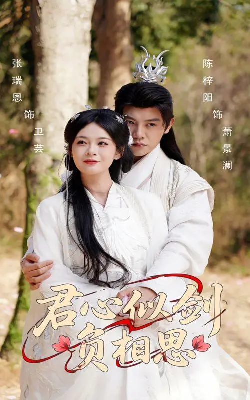 《君心似剑负相思》：爱恨交织，权谋下的虐恋悲歌