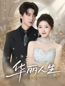 《华丽人生》：家庭的爱与痛，平凡中的闪光人生