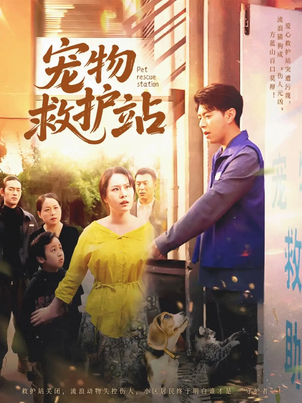 《宠物救护站》：暖心治愈！看萌宠如何拯救失意人生，笑泪齐飞的生命奇迹！